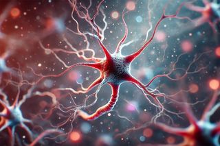 Illustration of neurons in the brain