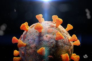 COVID-19 virus that can mutate rapidly