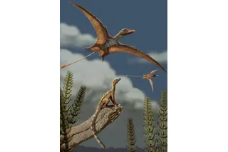A lagerpetid, a close relative of pterosaurs in a late Triassic landscape.