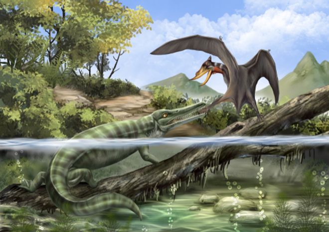 prehistoric crocodile trying to eat a pterosaur