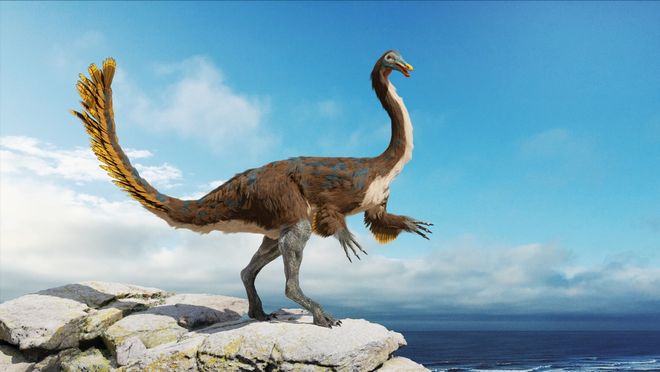 Feathered theropod dinosaur perched on a rock