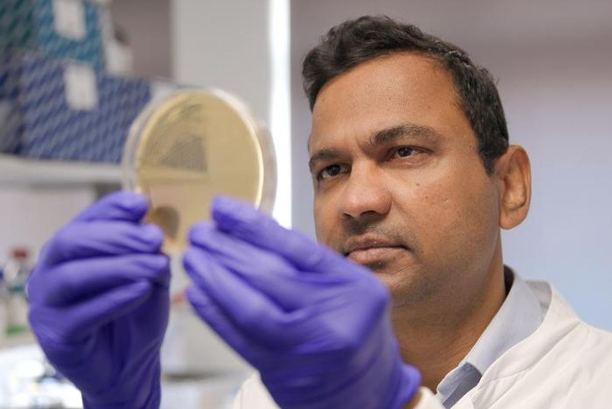 Common Synthetic Chemicals Like Pesticides Are Everywhere and May Harm Our Gut Microbiome