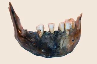 Mandible of Homo sapien woman who lived 7,900 years ago in southern Africa