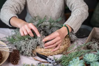moss used in a Christmas wreath