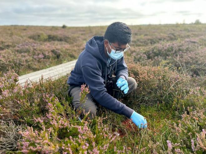 Researcher Kasun Bodawatta sampling moss in Denmark Researcher Kasun Bodawatta sampling moss in Denmark