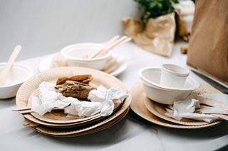 Biodegradable disposable tableware with napkins and forks