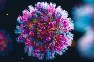 bird flu virus bird flu virus