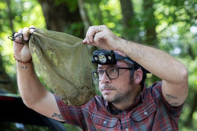 Lawrence Reeves trapped mosquitoes in the DeLuca Preserve