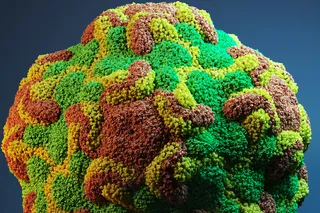 Illustration of common cold virus, rhinovirus