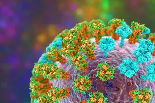 Illustration of the H3N2 flu strain Illustration of the H3N2 flu strain