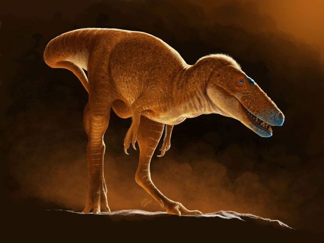 Khankhuuluu, Mongolia