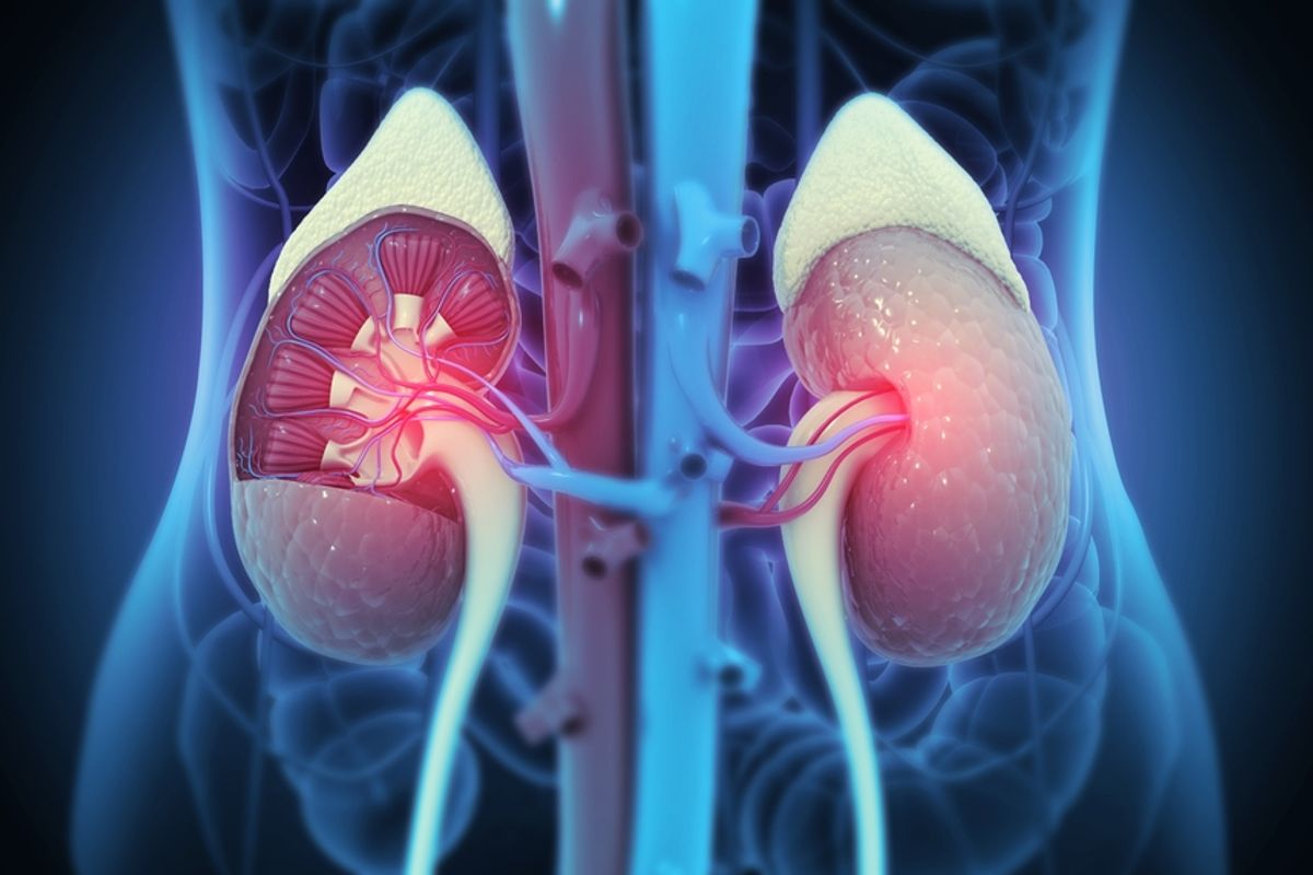 Traditional Chinese Medicine Works Surprisingly Well When Treating Diabetic Kidney Disease