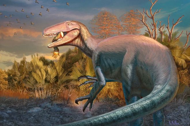 llustration of Joaquinraptor, a two-legged meat-eating dinosaur, with crocodile arm in its mouth.