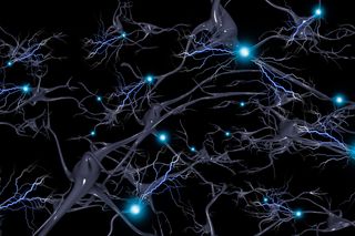 electrical neurons firing in the brain 