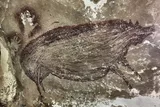 cave painting of pot bellied warty pig from Indonesia 