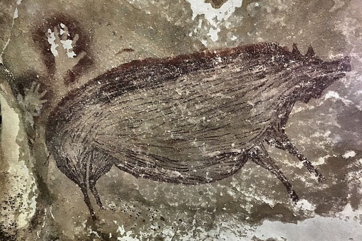 50,000 Years of Island-Hopping Pigs Reveal Ancient Human Migration