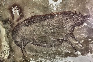 cave painting of pot bellied warty pig from Indonesia 