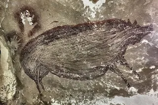 cave painting of pot bellied warty pig from Indonesia 