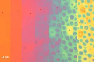 Colorful and rainbow like time-lapse of the color and texture changes on the soft photonic skin sample.