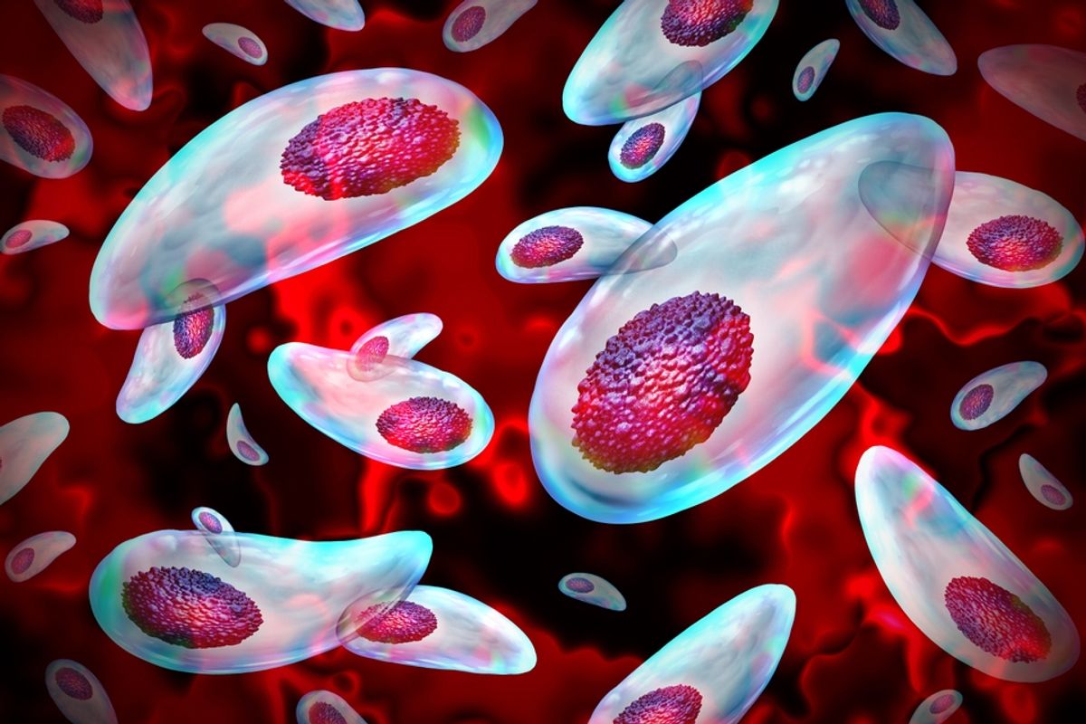 How the Immune System Controls a Brain Parasite Found in 1 in 3 People