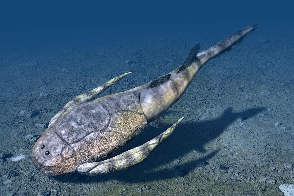 Mass Extinction 445 Million Years Ago Paved the Way for Jawed Fishes to Take Over