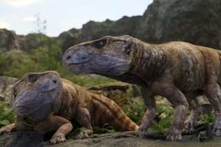 two Ajkaceratops kozmai in a natural setting, possibly the first horned dinosaurs described in Europe