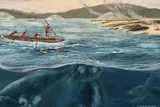 Illustration of ancient whale hunters in a boat, spearing whales in the ocean