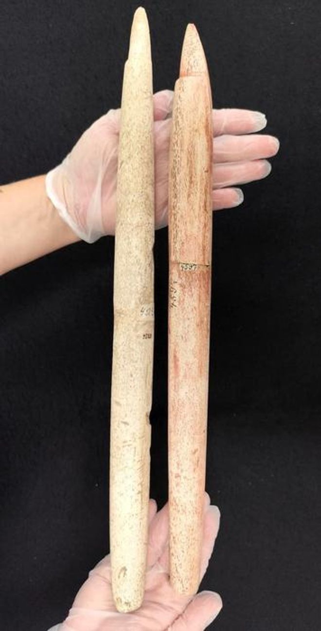 Harpoons found in a human burial in from Morro do Ouro