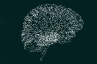Illustration of the human brain neural network and conciousness