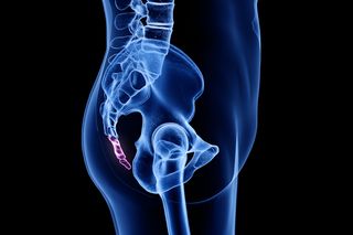 people with a tail, 3D image of a human tail bone people with a tail, 3D image of a human tail bone