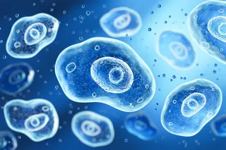 blue one-celled organisms