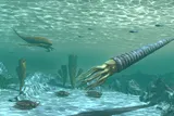Illustration of end-Ordovician marine life before extinction