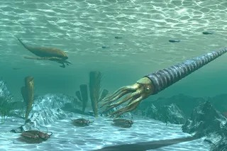 Illustration of end-Ordovician marine life before extinction