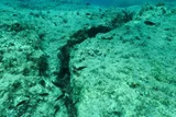 a large crack in the sea floor caused by shifting tectonic plates