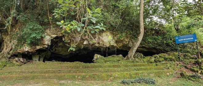 A close-up view of Liang Metanduno Cave in Indonesia.