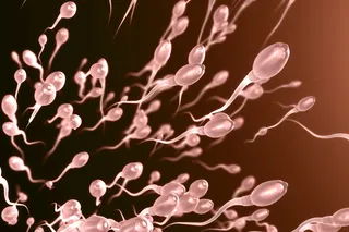 group of sperm 