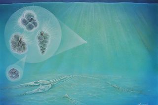 Image of a marine reptile skeleton on the sea floor, with plankton above it