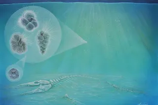 Image of a marine reptile skeleton on the sea floor, with plankton above it Image of a marine reptile skeleton on the sea floor, with plankton above it