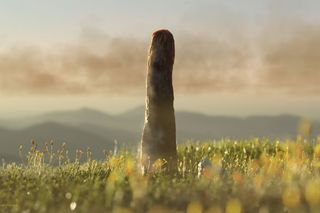 Prototaxites, a tall organism that is neither plant nor fungi in a field. 