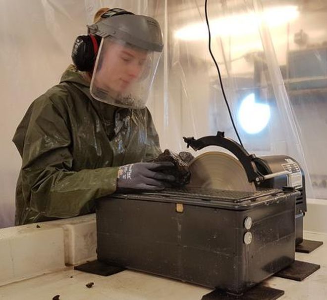 Volcanic rock sample recovered from king