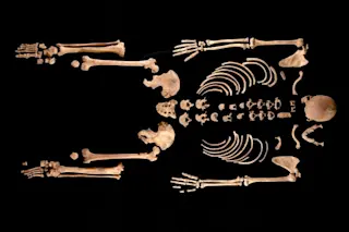 Researchers studied the ancient skeletons, including this one, of people who lived on the Iberian Peninsula over the past 20,000 years. Their discoveries reveal surprising insights into genetic influences over time. (Credit: Julio Manuel Vidal Encinas)