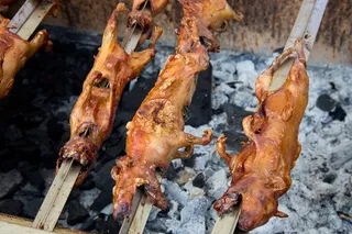 three guinea pigs roading over a fire