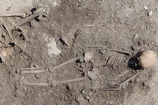 Skeletal remains found at a stone age gravesite. 