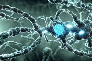 a blue eukaryogenesis cell