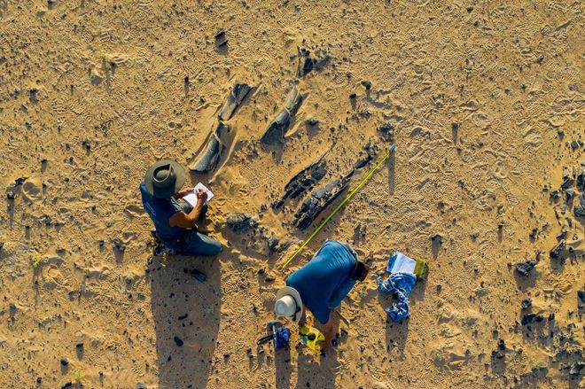 paleontologists Paul Sereno and Dan Vidal take notes on a massive hind limb of a new long-necked dinosaur