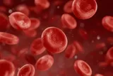 Illustration of red blood cells