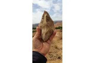 Ancient diamond shaped stone tool from ‘Ubeidiya