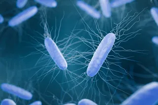 3d rendering of blue, stringy, bacteria. 