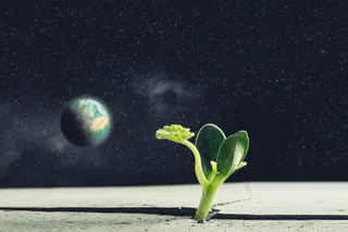 A single green plant breaks through the lunar soil and is growing on the moon with earth in the background 