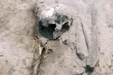 Bronze Age skeletal remains analyzed to study ancient diets in Poland